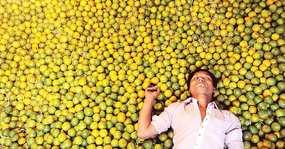 Kinnow a “King Fruit” of Punjab- Problems and it’s one stop crop solution