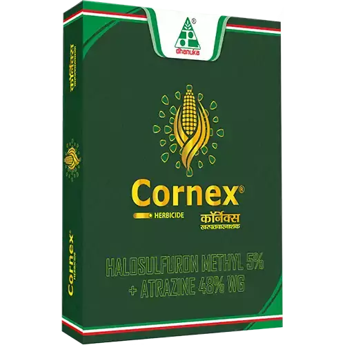 Cornex herbicides